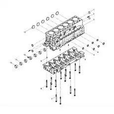 Crankshaft case - Блок «Pre-assembled cylinder block»  (номер на схеме: 6)
