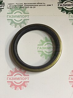 Sealing ring LGB307-65
