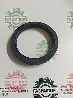 Sealing ring GB13871.1-FB08010012-F