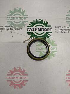 Sealing ring 13034050