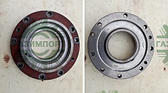BEARING COVER (1000002076)