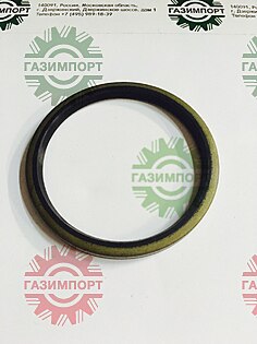Sealing ring LGB307-95