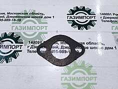 Water outlet branch pipe gasket