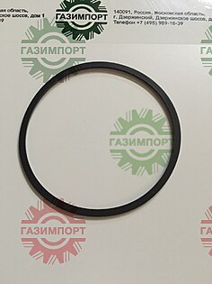 Special sealing ring ZF 12000