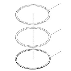 Piston ring assembly