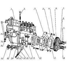 Injection pump gear (damageable) - Блок «B30-1111000 Форсунки топливного насоса в сборе»  (номер на схеме: 6)