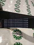 Внешний вид 612600090682 Generator belt