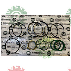 Sealing ring kit