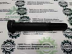 BOLT M24X165