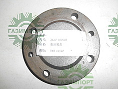 Cover plate ZL20-030058