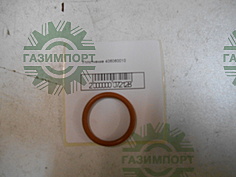 Seal washer 25.2*3DR100N05040