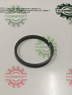 Oil seal ring