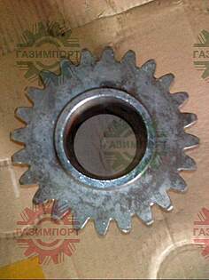 Planet Gear (front axle)