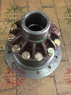 Differential assembly S028