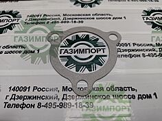 Thermostat seat gasket
