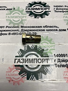 Hollow screw 12-3 DIN07643