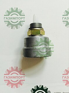 Automatic drain water valve