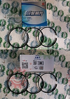 Y Piston ring kit