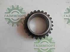 Oil Pump Idle Gear Assembly