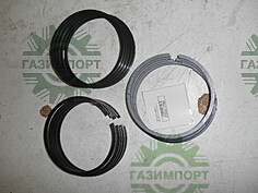 OIL CONTROL RING ASSY