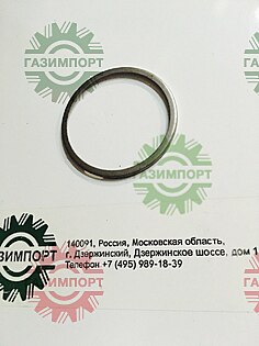 GUIDE RING (1000002084)